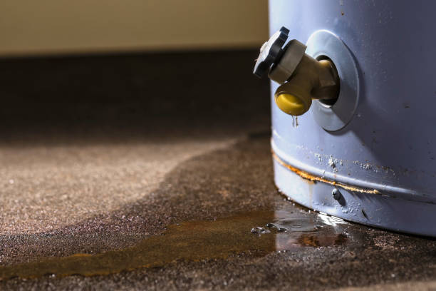 Best Commercial water damage restoration  in St Croix Falls, WI