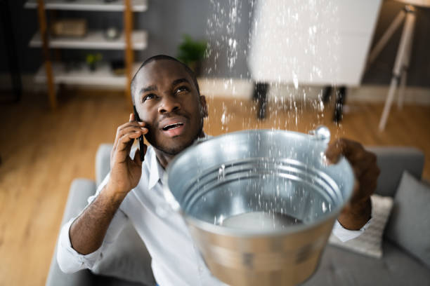 Best Mold removal after water damage  in St Croix Falls, WI