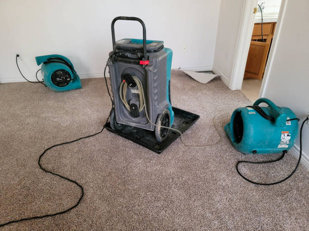 Best Flood damage cleanup  in St Croix Falls, WI