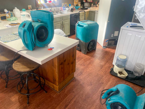 Professional Water damage restoration in WI