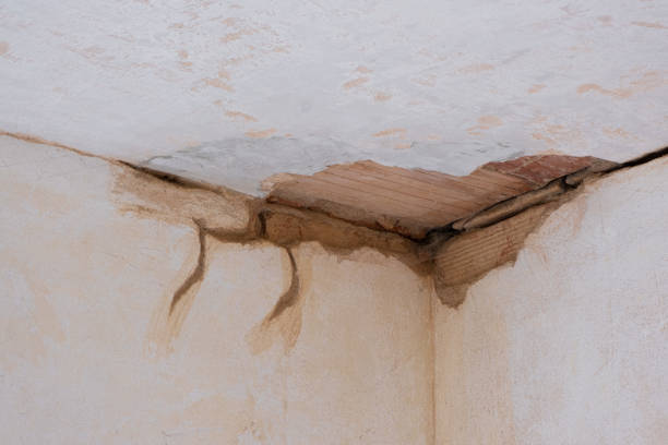 Best Mold removal after water damage  in St Croix Falls, WI