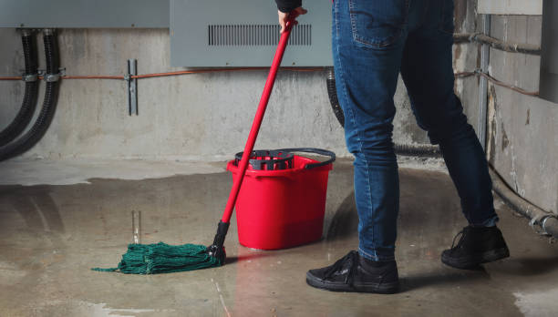 Best Flooded house restoration  in St Croix Falls, WI