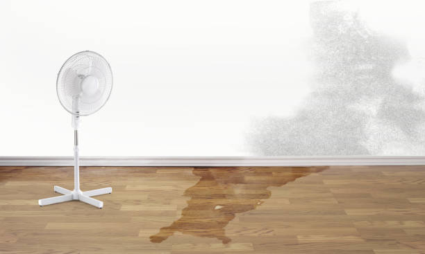 Best Basement water damage restoration  in St Croix Falls, WI
