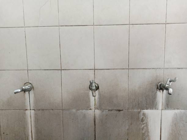 Best Fire Damage Restoration  in St Croix Falls, WI