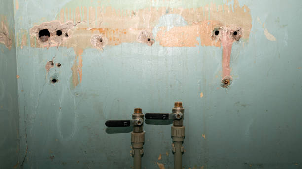  St Croix Falls, WI Water damage restoration Pros
