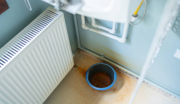 Best Flood damage cleanup  in St Croix Falls, WI